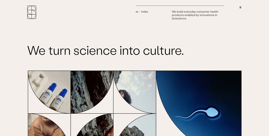 squaredcircles.com website